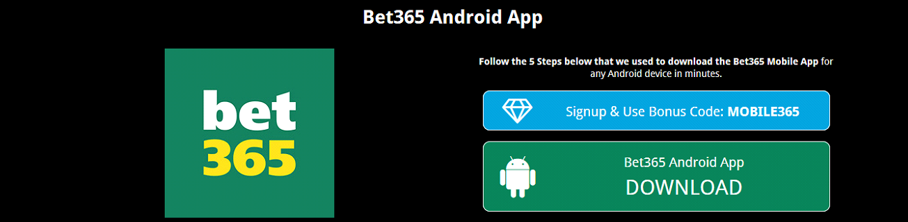 bet365 bingo